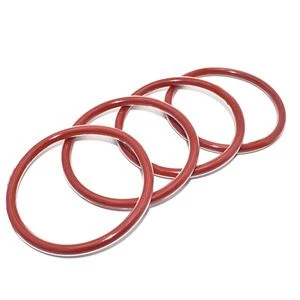 FEP O-ring (2)