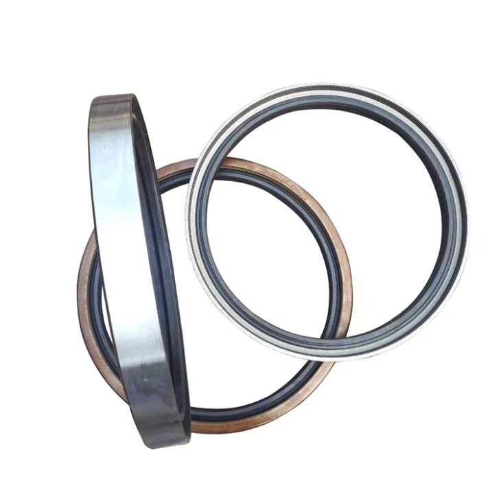 High Performance TC TB TA SA Type FKM Viton Oil Seals